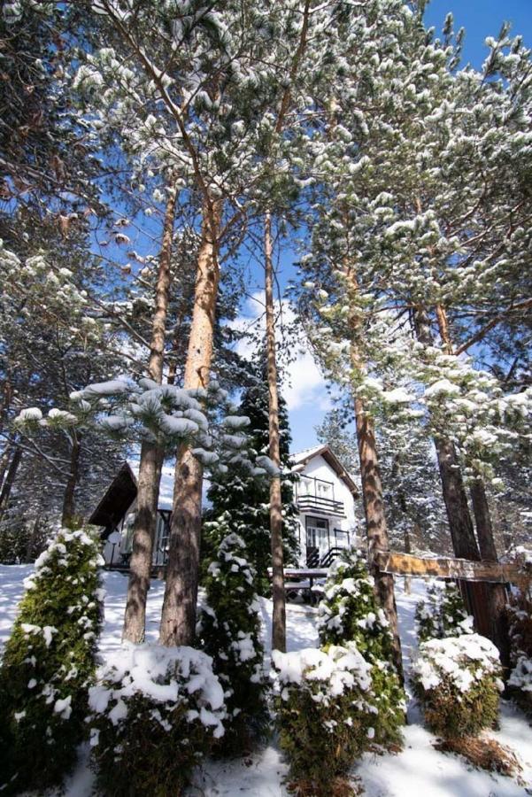 Apartments Breza Zlatibor Exteriér fotografie